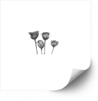 Thumbnail for Four Black And White Roses Minimalist Floral Sticker | Elegant Botanical Vinyl Decal